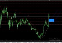 Giảm 222 điểm khi thu nhập thấp hơn, tăng đột biến khi nhiễm trùng vết cắn