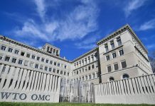 WTO nâng dự báo tăng trưởng thương mại toàn cầu 2025