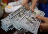 Tỷ giá USD hôm nay 5/11: Trượt giá khi kỳ vọng vào ông Trump giảm bớt ngay trước bầu cử
